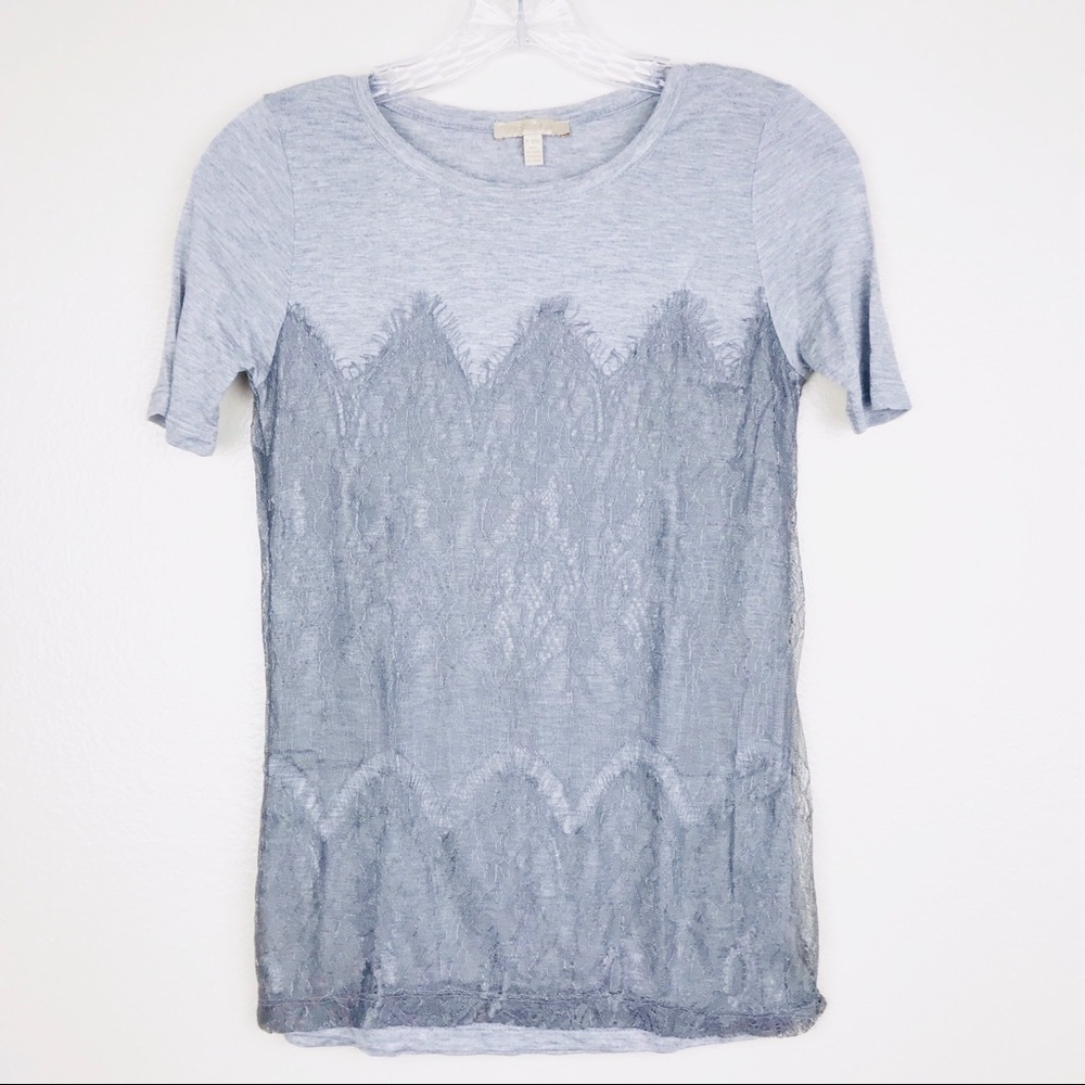 Anthropologie Bordeaux Gray Lace Short Sleeve Top